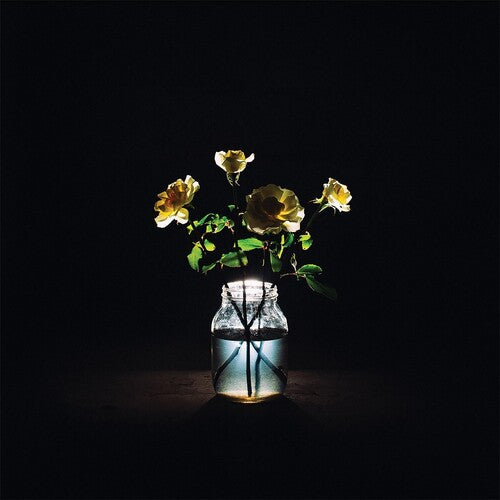Billy Strings' Latest 180 - gram Heavy Vinyl Album: Renewal