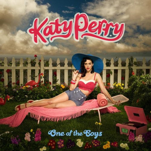 Double Vinyl LP: Pop Star's 2008 Album - One of the Boys