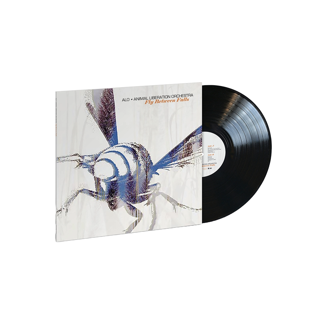 ALO's Exclusive LP Release - Fly Between Falls