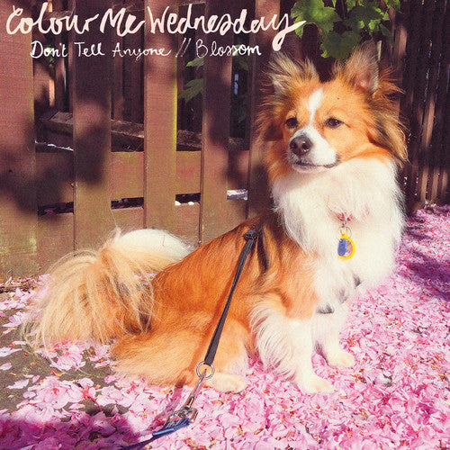 Exclusive Pink & White Marble 7-Inch Vinyl - Colour Me Wednesday's 'Don't Tell Anyone / Blossom'