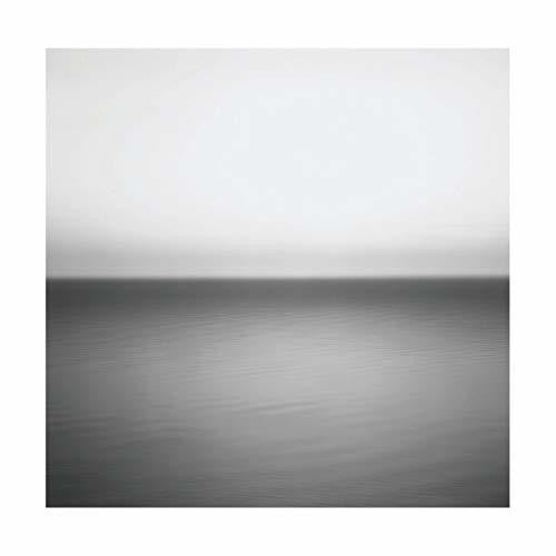 U2's 10th Anniversary Remastered Double Vinyl LP - No Line on the Horizon