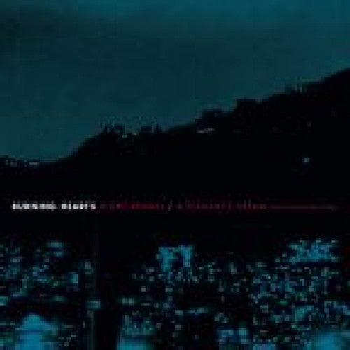 2010 Finnish Duo Night Animal Seven - Inch Vinyl Single