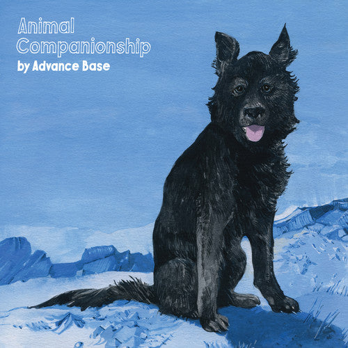 Advance Base's Vinyl LP - Animal Companionship, a Human - Condition Masterpiece