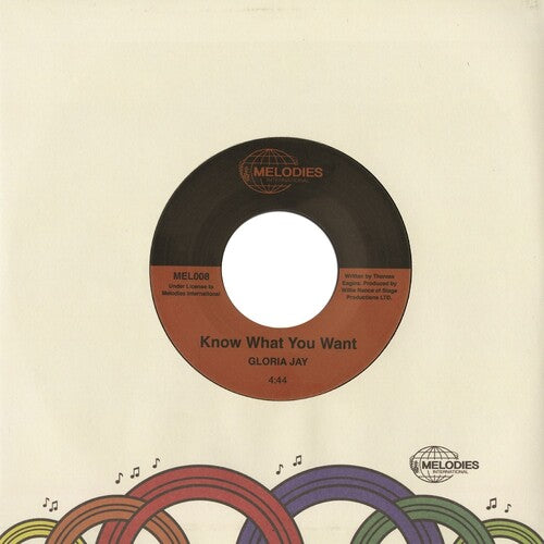 Know What You Want / I'm Gonna Make It - A Classic Mid - tempo Chicago Soul Music Single