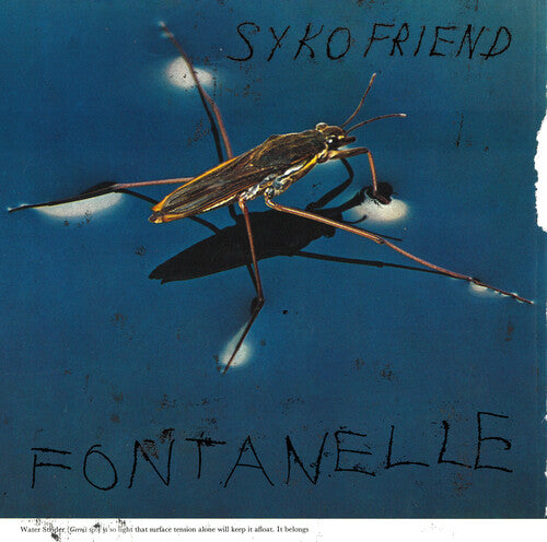 Fontanelle - Syko Friend's Second LP Electric Folk Music Album