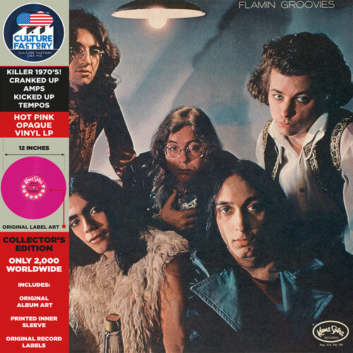 Pink Limited Edition Flamingo Garage Rock Vinyl LP