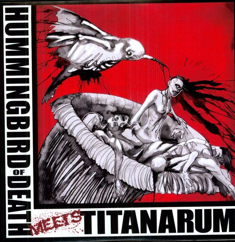The Deadly Hummingbird / Titanarum - A Grindcore Album