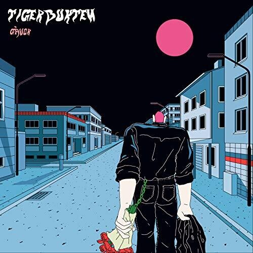 Gavor - High - Intensity Swedish Punk Pop Music
