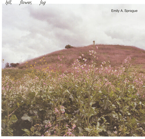 Enlightening Hill Flower Fog: Six-Modular Meditative Experience