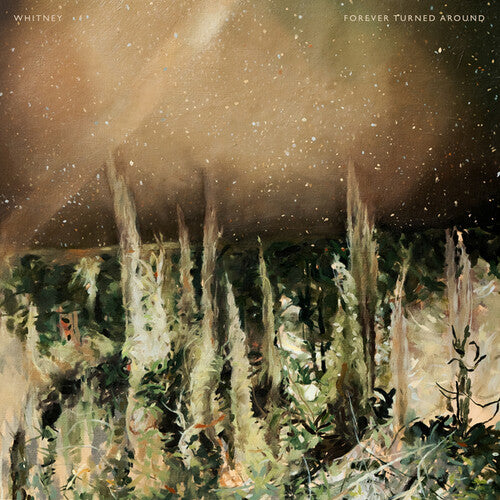 Forever Turned Around - A Captivating Vinyl LP Album