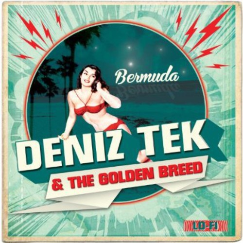 Bermuda - An Intense 7-Inch Record from Radio Birdman's Founding Guitarist Deniz Tek