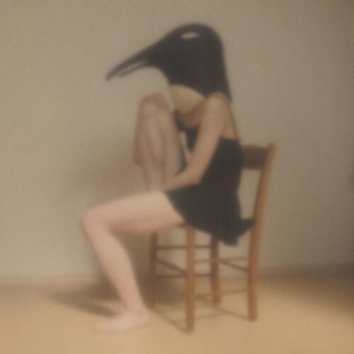 A Tribute to Penguin Cafe Orchestra - Featuring Various Artists