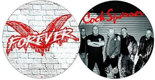 Forever - A Treasured Picture Disc Album from the Iconic Band